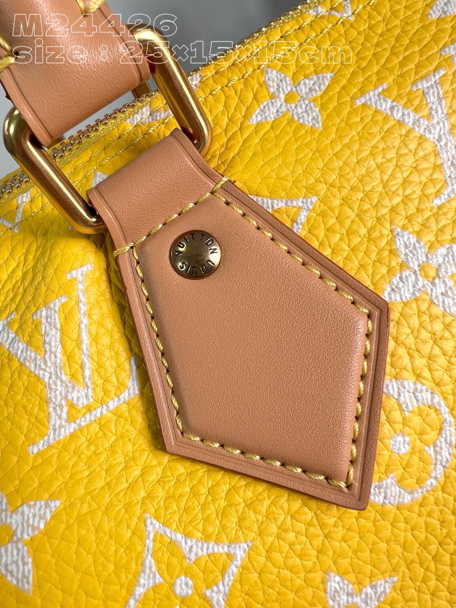 Louis Vuitton M24426 Speedy P9 Bandouli??re 25