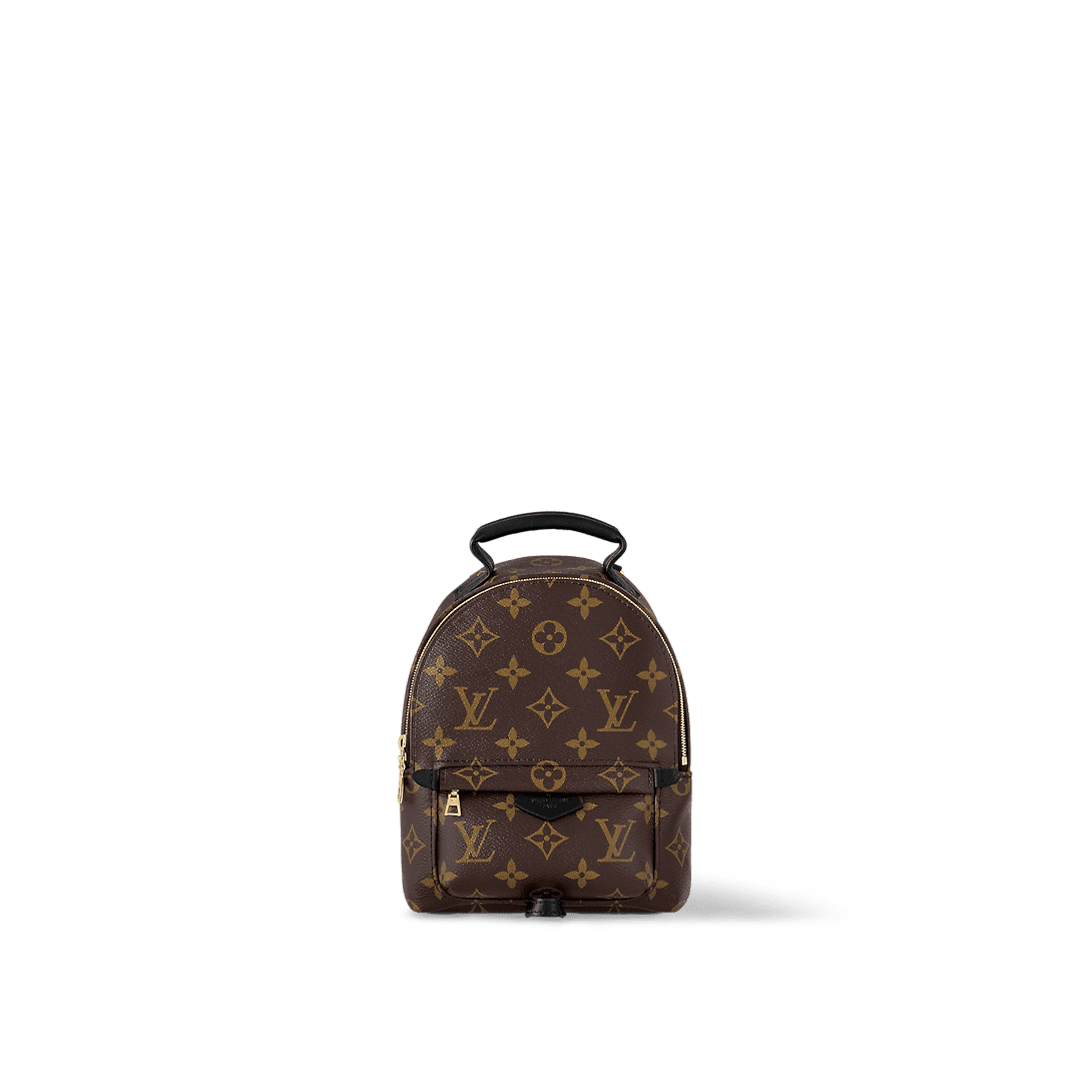 LOUIS VUITTON Palm Springs Mini