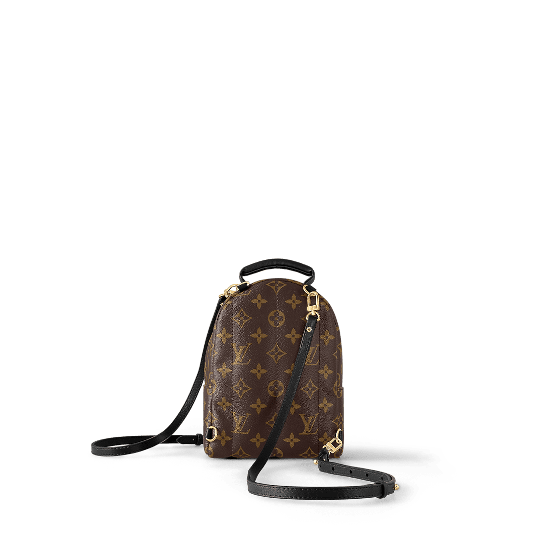 LOUIS VUITTON Palm Springs Mini