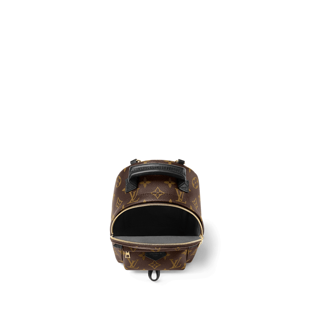 LOUIS VUITTON Palm Springs Mini