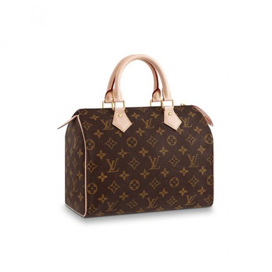 LOUIS VUITTON Speedy 25 M41109