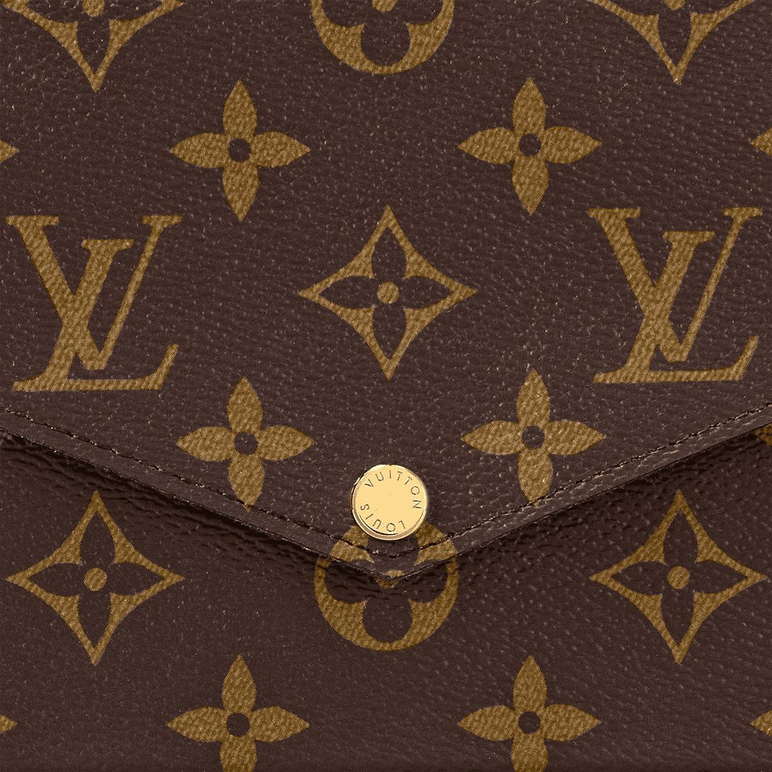 LOUIS VUITTON Félicie Pochette