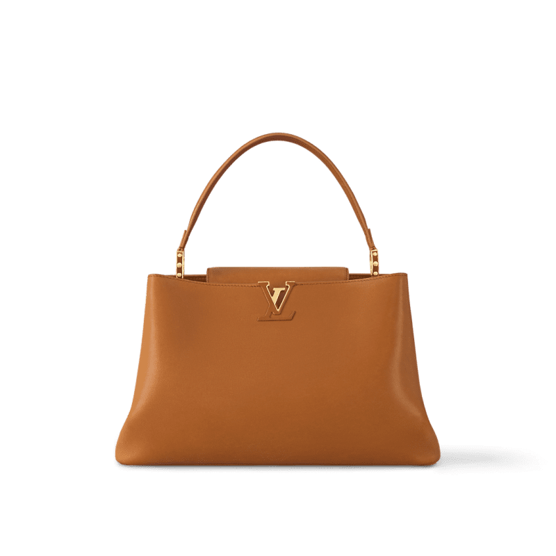 Louis Vuitton M24620 Large CAPUCINES SOUPLE BAG