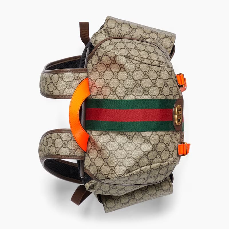 GUCCI Ophidia medium backpack