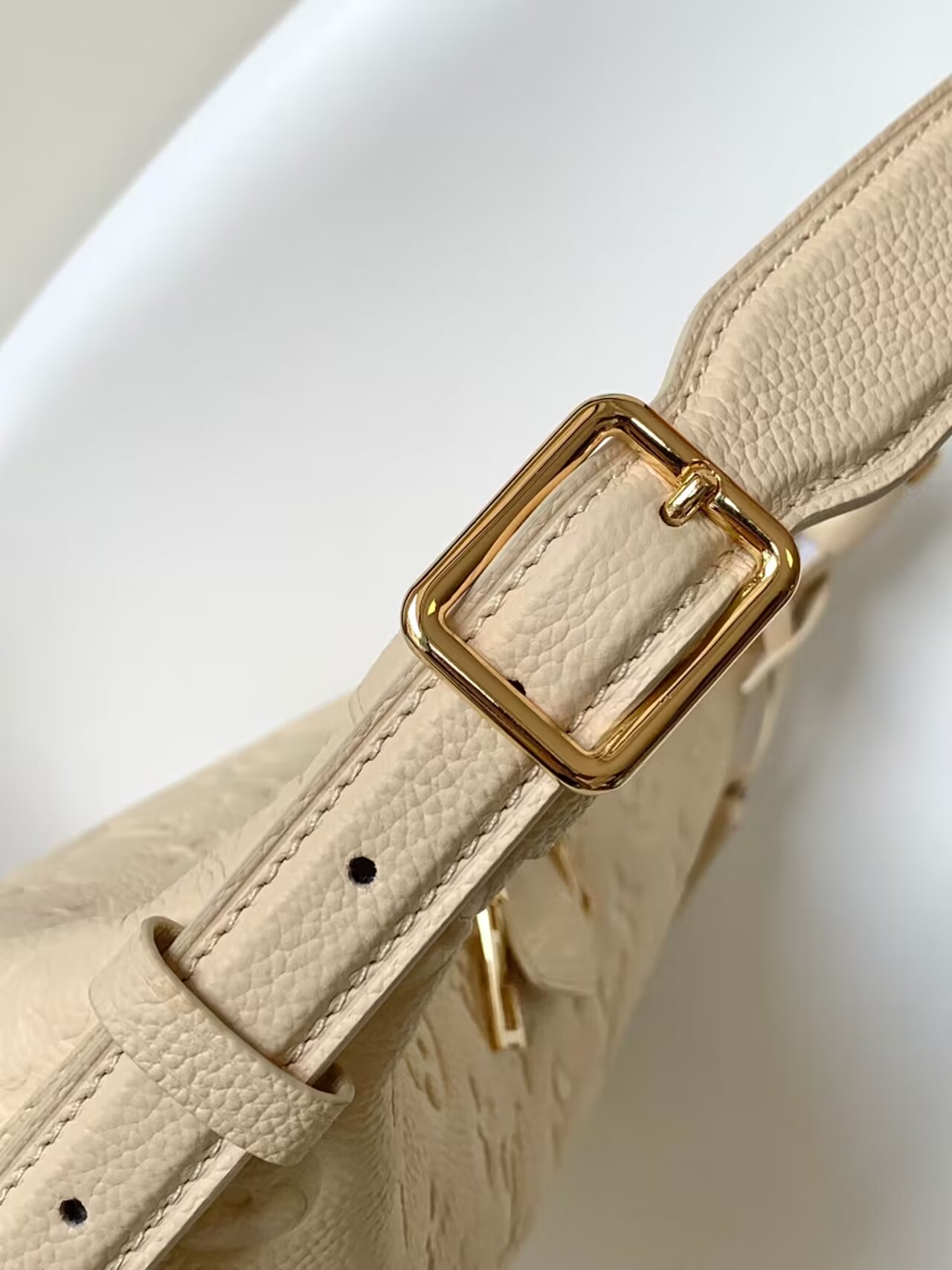 Louis Vuitton SAC SPORT handbag M46609