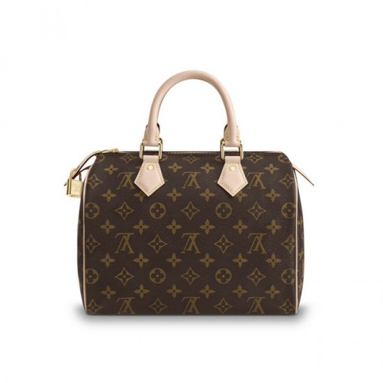 LOUIS VUITTON Speedy 25 M41109