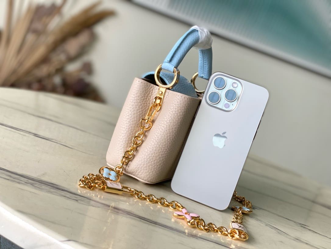 Louis Vuitton M23952 CAPUCINES NANO BAG