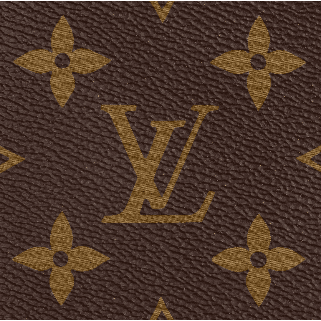 LOUIS VUITTON Palm Springs MM