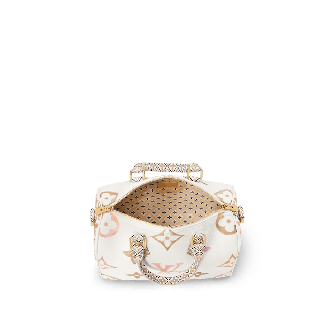 LOUIS VUITTON Speedy Bandoulière 25 M22987