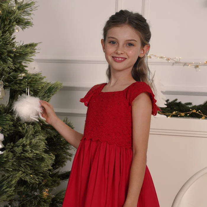 Flounce sleeves lace dress