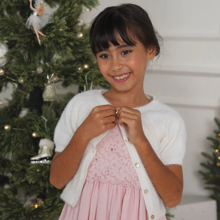 Flounce sleeves lace dress