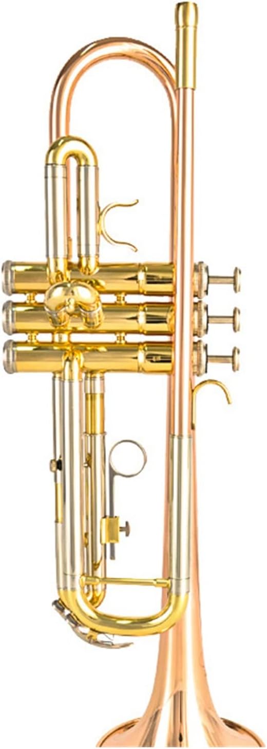 Bb Tune Phosphor-Bronze Bell Mouth Standard Trumpet Brass Instrument Wind Instrument Beginner Professional Professional Trumpet