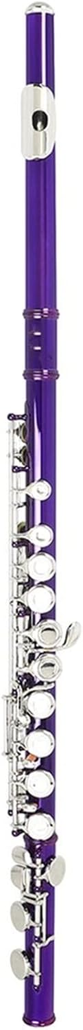 ZUZU Purple 16 Holes Flute C Tone Closed Hole Silver Key Cupronickel Flute Woodwind Instrument with Flute Case Cleaning Cloth Beginners Flute