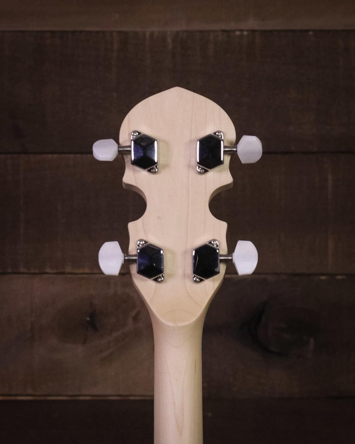 Gold Tone AC-5: Beginner 5-String Banjo with Resonator, Bluegrass Banjo with Gig-Bag