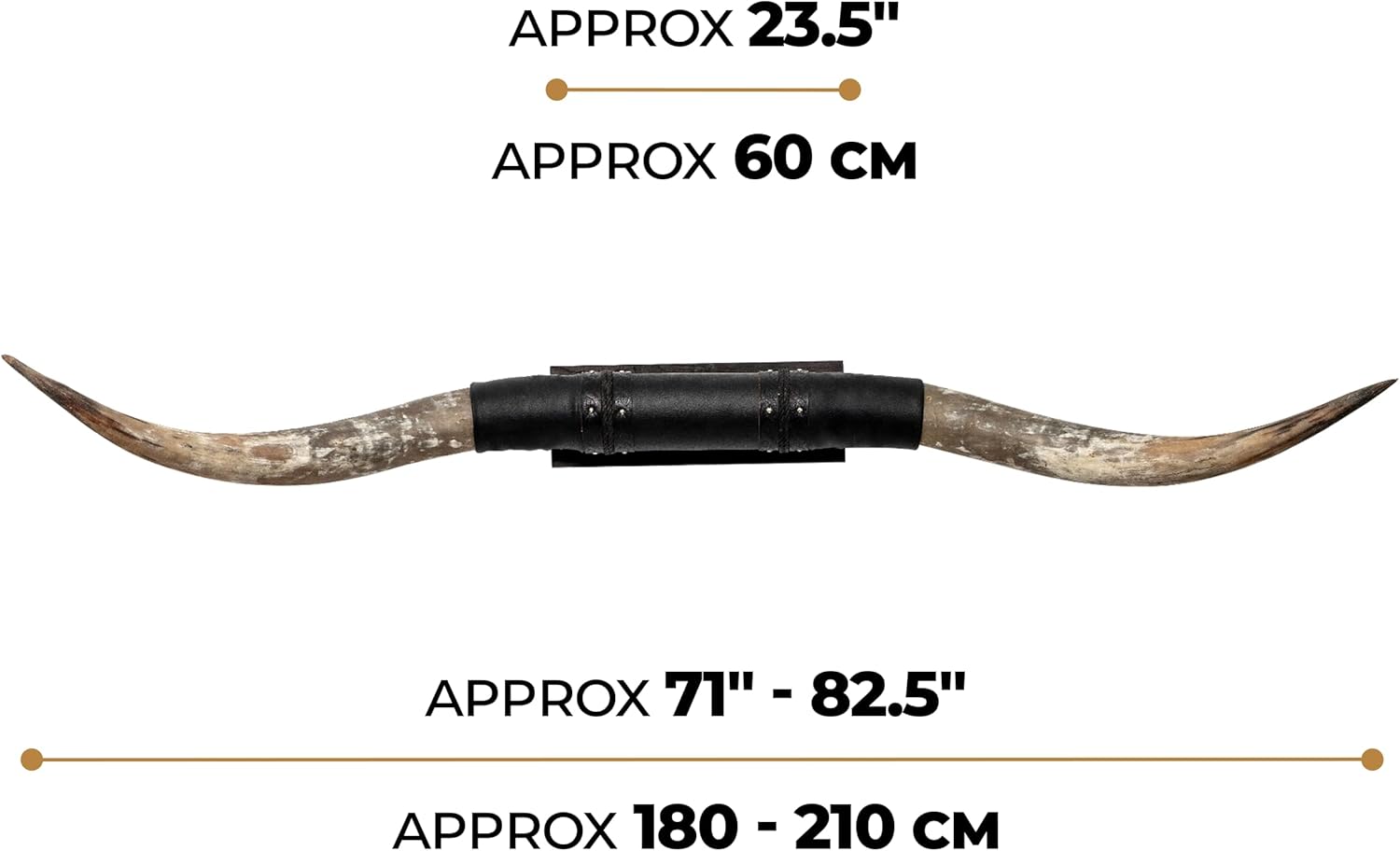 Skull Bliss - Authentic Real Bull Longhorn/Black Leather Horn Mount - Steer Horns/Unique Wall Hangings and Longhorn Wall Decor (Standard Horns)