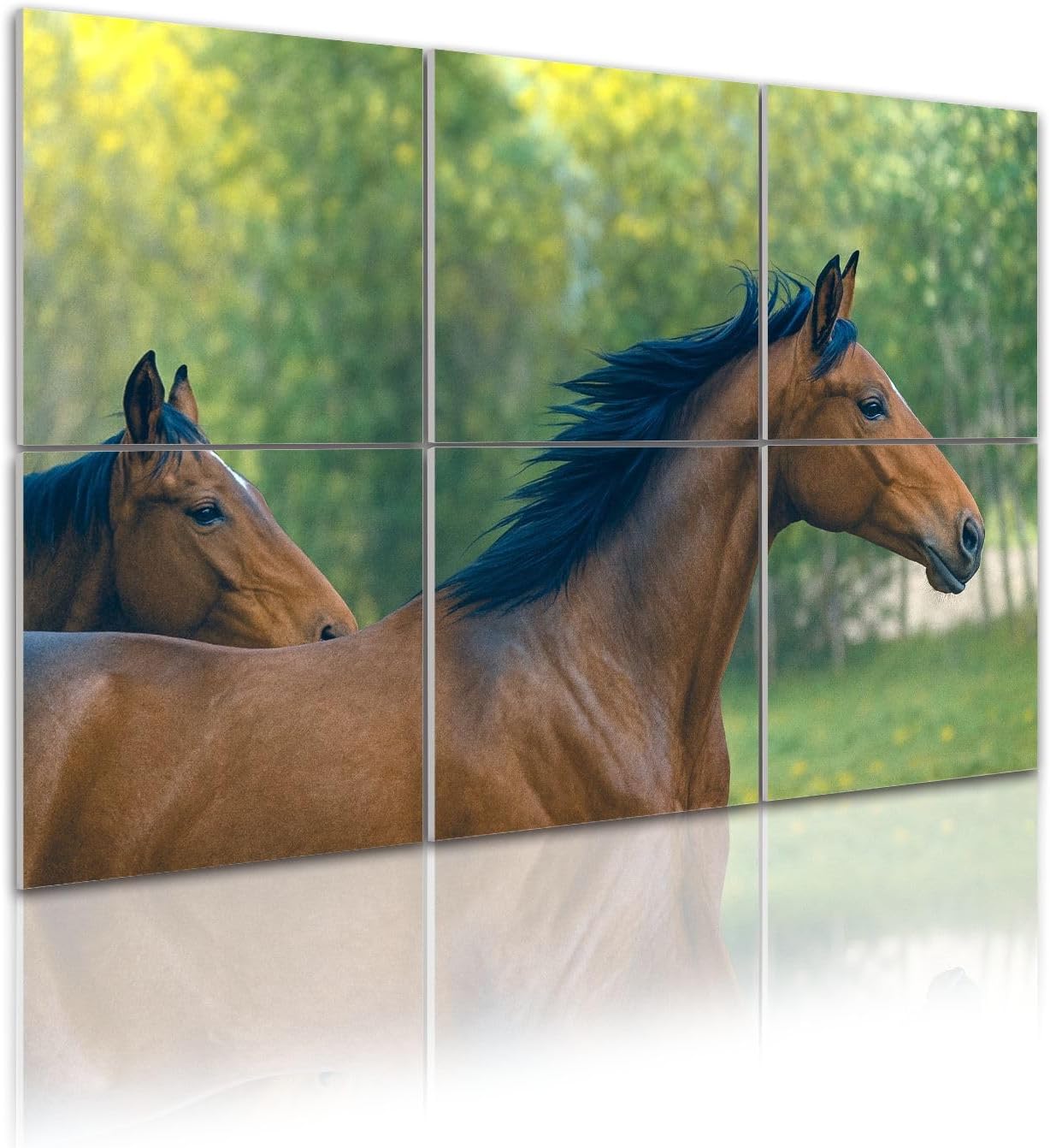 6 Pack Art Acoustic Panels Self Adhesive head stallion horses sunny day Galloping dressage horse Decorative Soundproof Wall Panels Sound Absorbing Panel 48