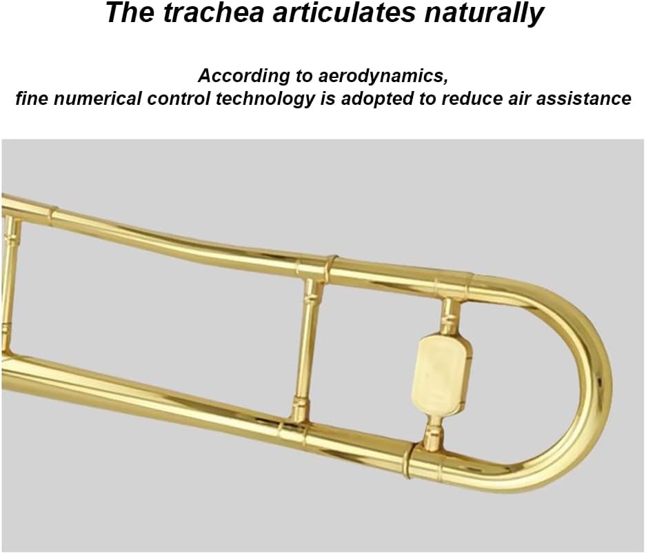 Alto Trombone in B-Flat, Performance-Level Western Instrument, Accurate Pronunciation, Transparent Tone, Professional Loudspeaker Material