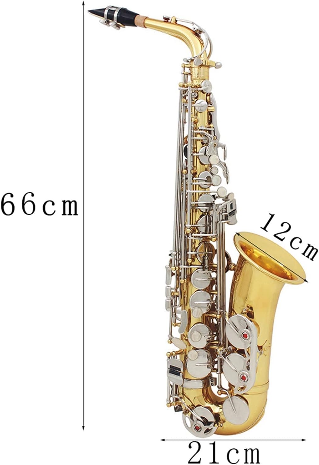 TSTS Alto Saxophone EB Tune Gold Lacquer Silver Key Brass Body Woodwind Instrument Brass Sax Full Kit