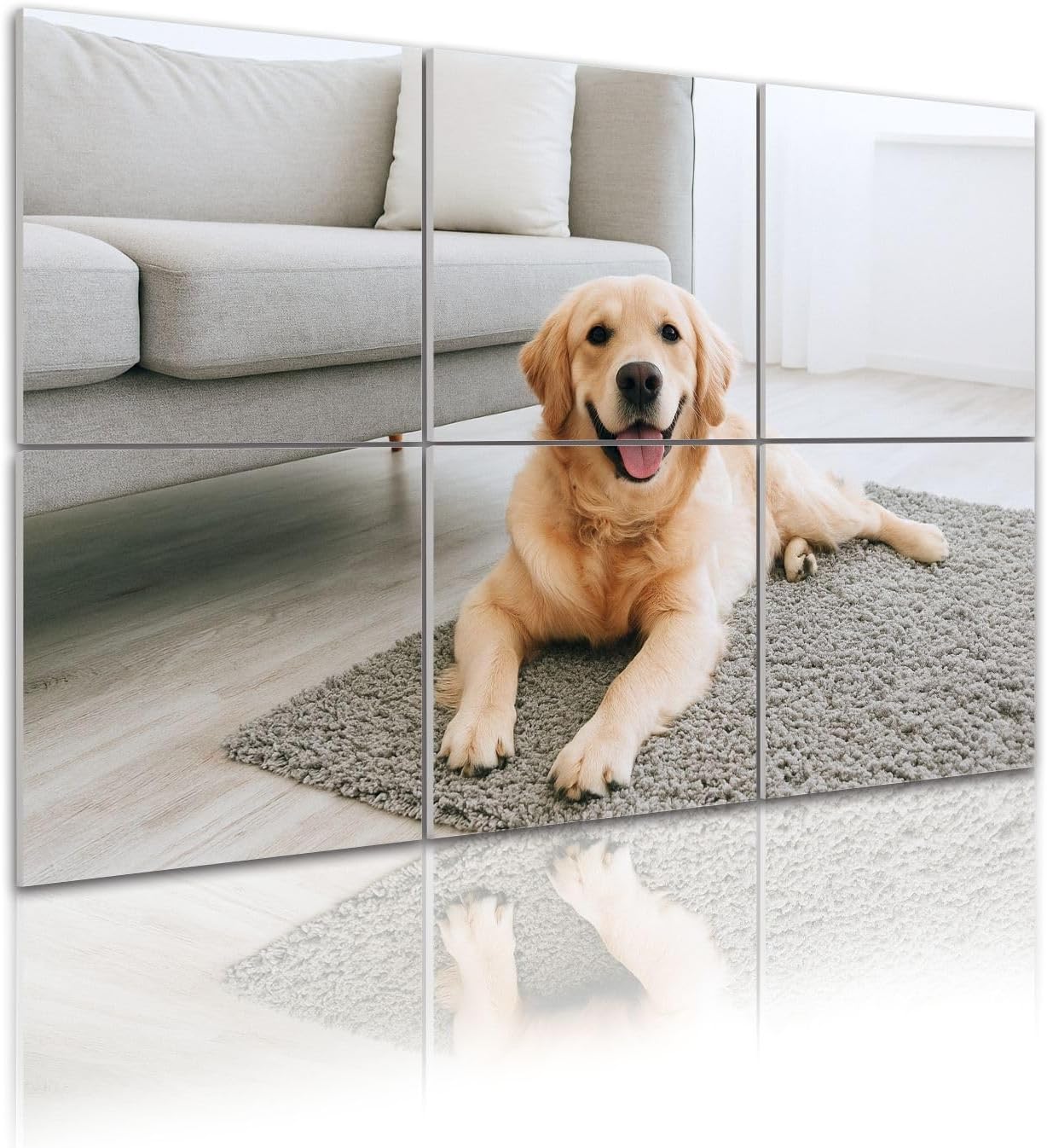 6 Pack Art Acoustic Panels Portrait cute dog lying floor carpet Sound Absorbing Panel 48