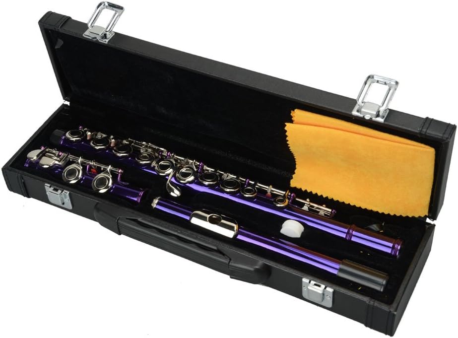 Nickel Plated Beginner Flute Concert Band with E Key, Case, Cleaning Kit, Kids Musical Instrument (Purple)