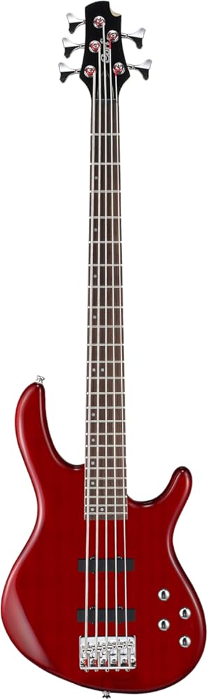 Cort ACTIONBASSVPLUSTR Action Bass V Plus 5 String Guitar, Trans Red