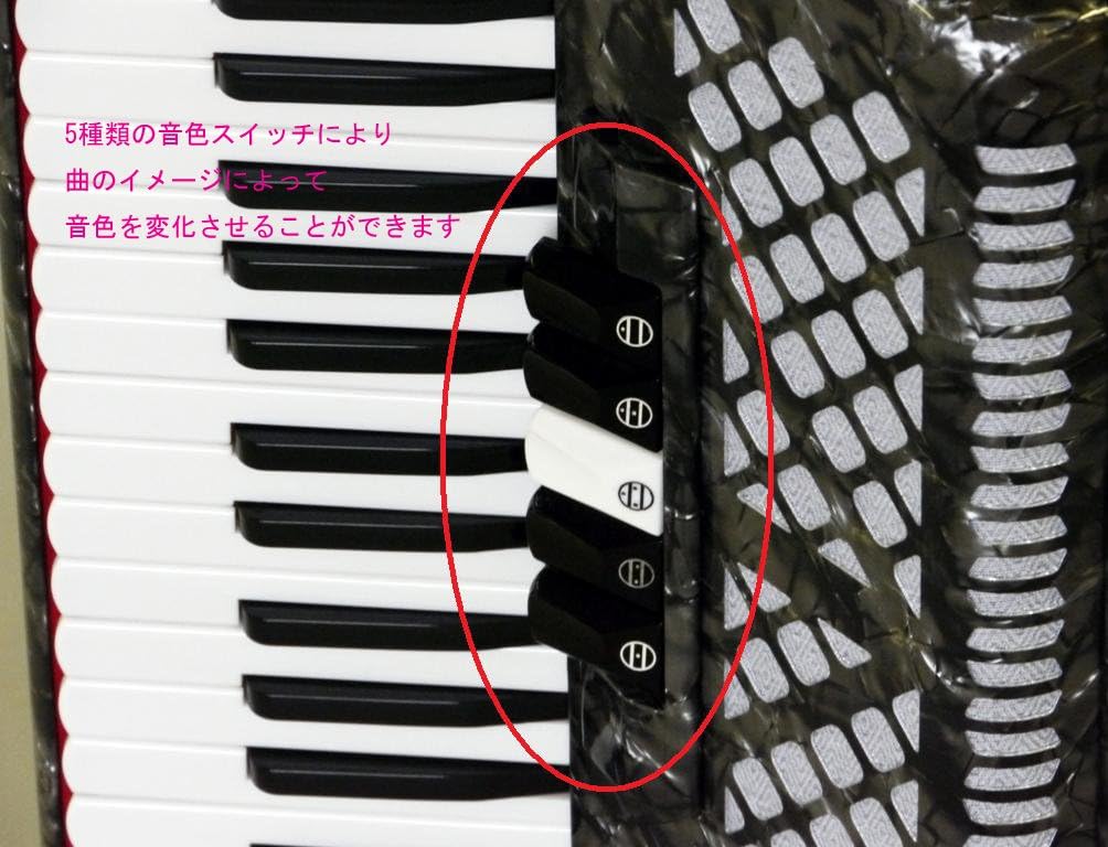 Tombo GT-60B Accordion Solo Dragonfly Cosmo Gray Pearl