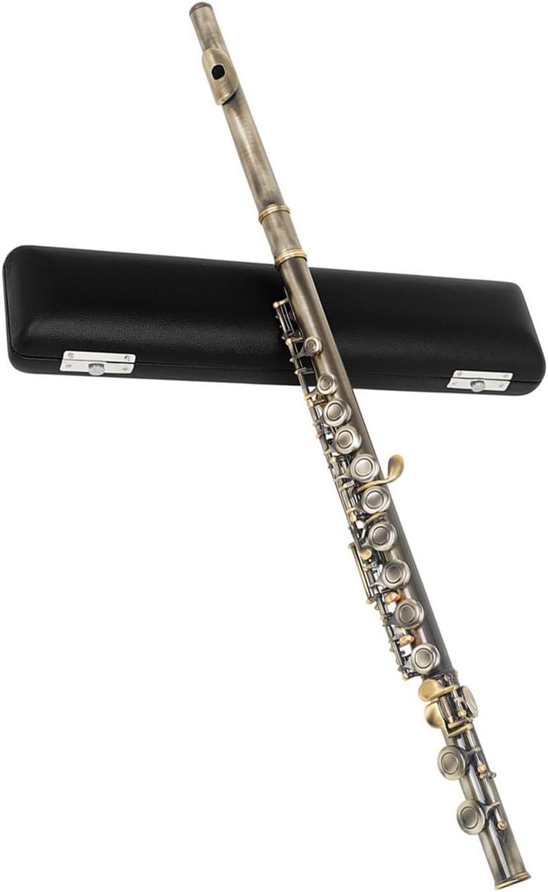 Professional Flute Instrument 16 Closed Hole Flute Wind Instrument Bronze E Key C Beginner Playing Antique