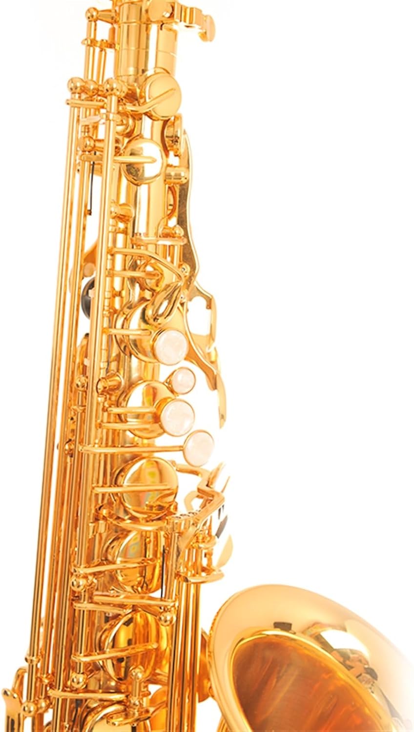 Double-bar Reinforced Saxophone E-flat Alto Saxophone Wind Instrument Beginner's Test