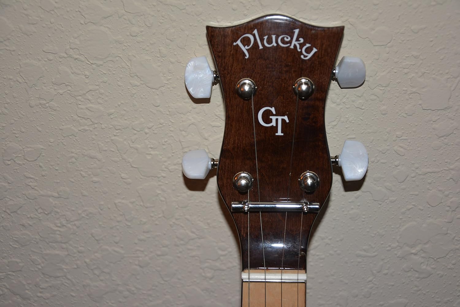 Gold Tone 5-String Travel Banjo w/Gig Bag