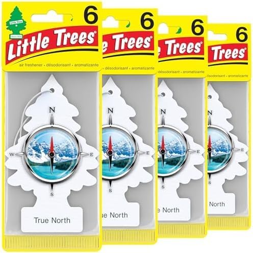 LITTLE TREES Pine Air Freshener Hanging Tree | True North | For Vehicle & Home | Long-Lasting Fragrance | 24 Fresheners, Pack of 6