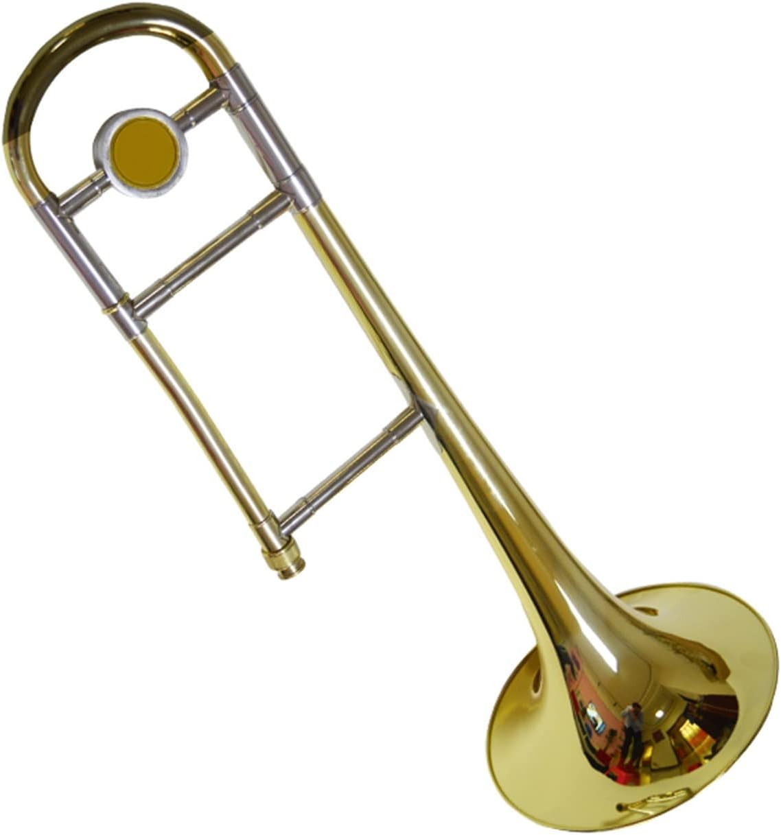 TSTS Tenor B-Flat Trombone Instrument Beginner Trombone (Color : Alto Trombone)