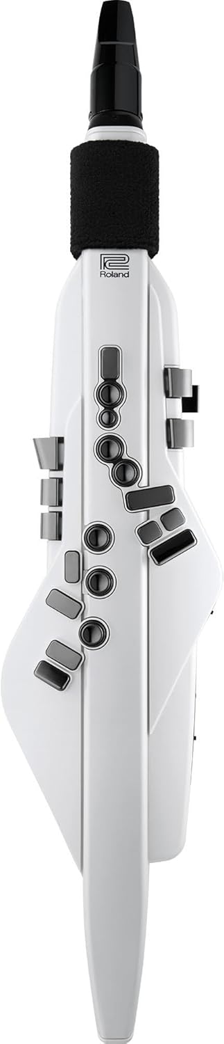 Roland AE-20W Aerophone Digital Saxophone Bundle with Headphones, Instrument Cable, and Austin Bazaar Polishing Cloth