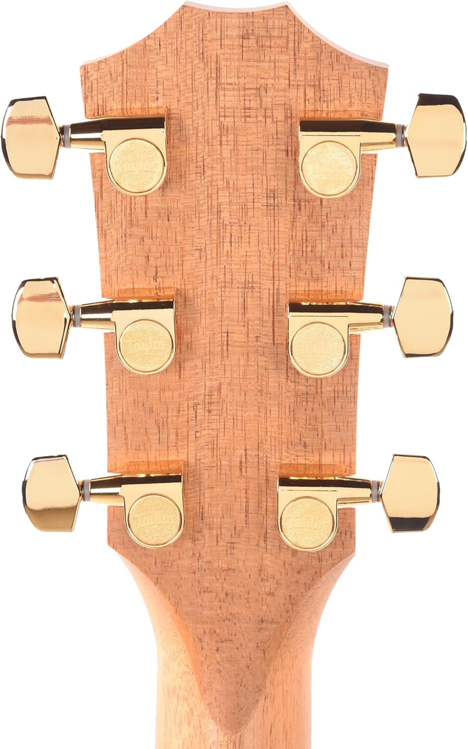 Taylor 224ce-K DLX Grand Auditorium Acoustic-electric Guitar - Tobacco