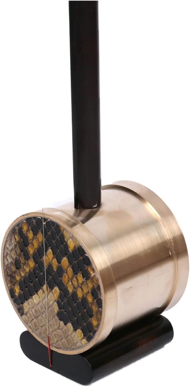 TSTS Ebony Twisted Lei Qin Handmade Classical National Musical Instrument Playing Stringed Musical Instrument Erhu Instrument