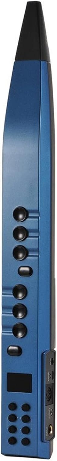 KESHUO Electric Blowpipe Electric Saxophone Old Man Entertainment Beginner Digital Wind Instrument Brass Sax Beginners Kit (Color : Blue)