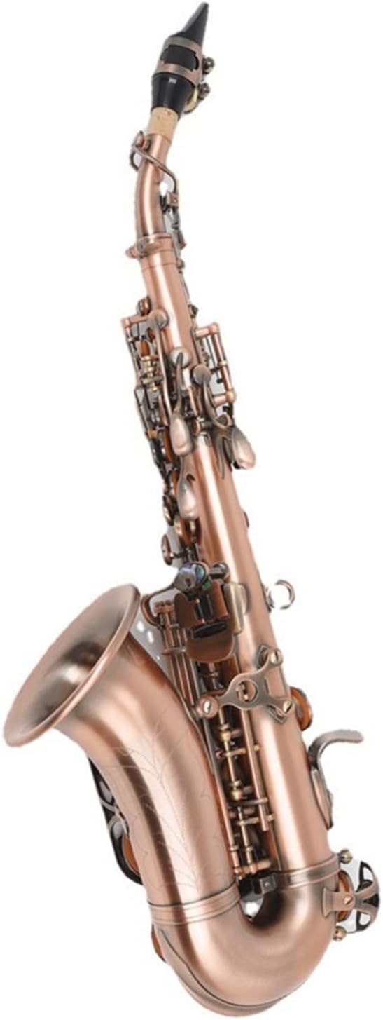 Wind Instrument Saxophone Students in B-Flat Key Practice Playing Saxophone for Beginners