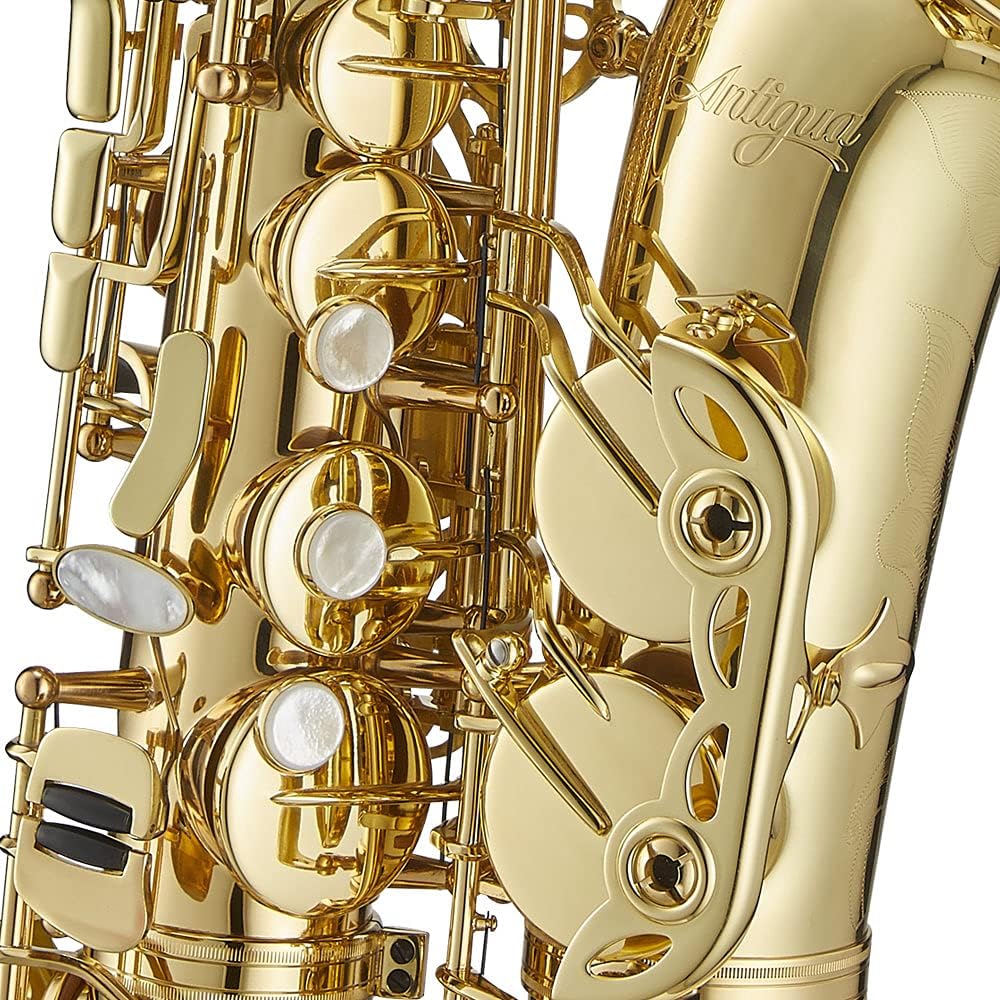 Antigua Winds PowerBell Professional Eb Alto Saxophone(Yellow brass with lacquered finish/enlarged bell/new neck design/ergonomic design/hand engraving/ABS case)/WRAS4248LQ