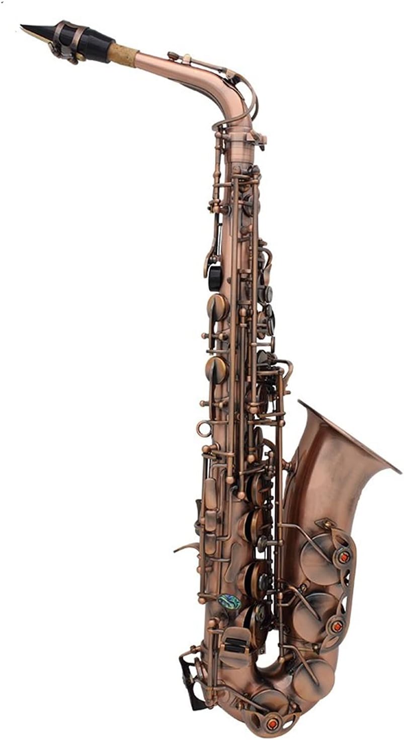 Sax Beginners Kit Professional EB E- Flat Alto Saxophone Sax Red Bronze Bend Abalone Shell Key Carve Pattern with Case Gloves Wind Instrument