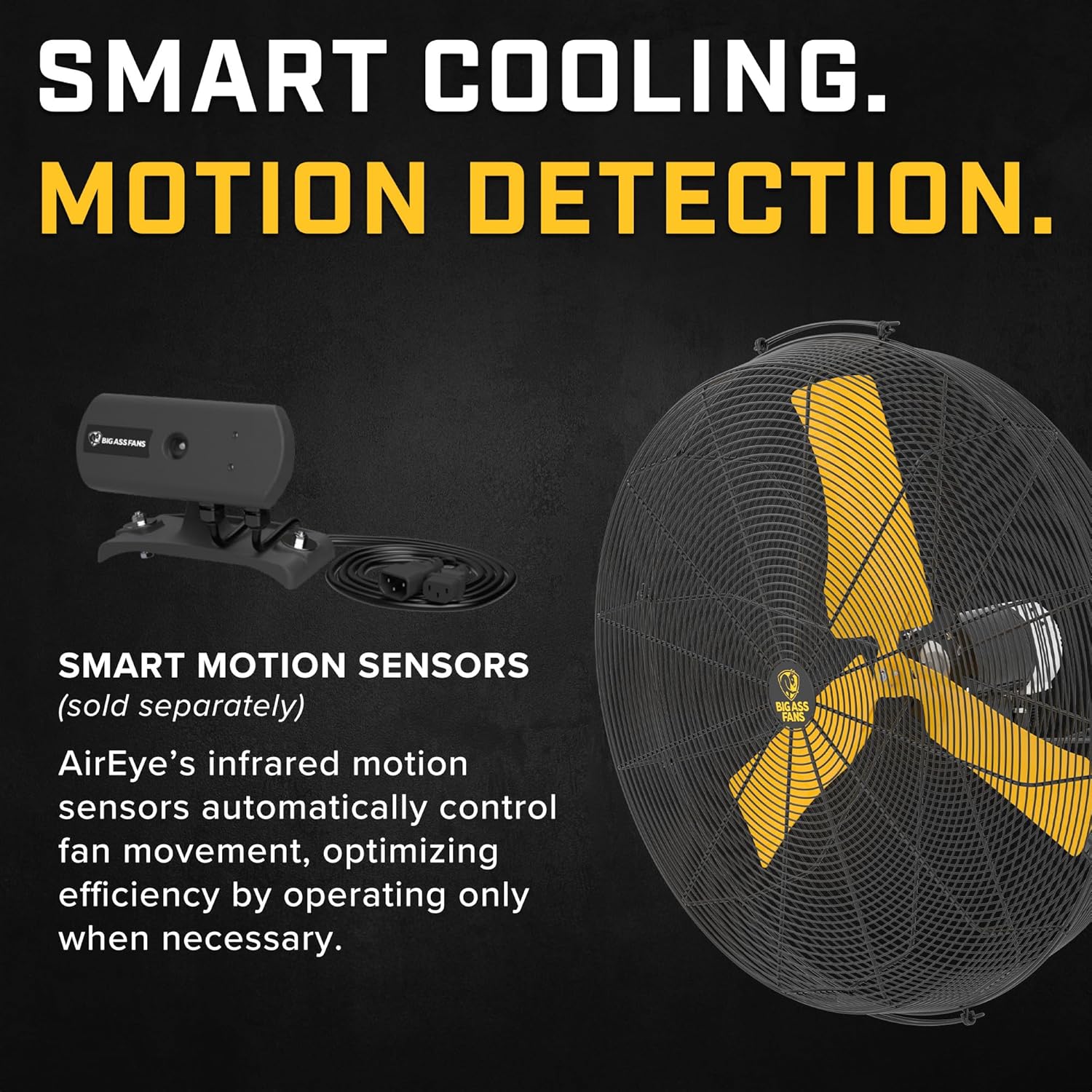 Big Ass Fans - AirEye Wall Mount Fan – Powerful & Efficient Cooling for Any Space – Wall Mounted Fan with Adjustable Speeds – 120v - 30