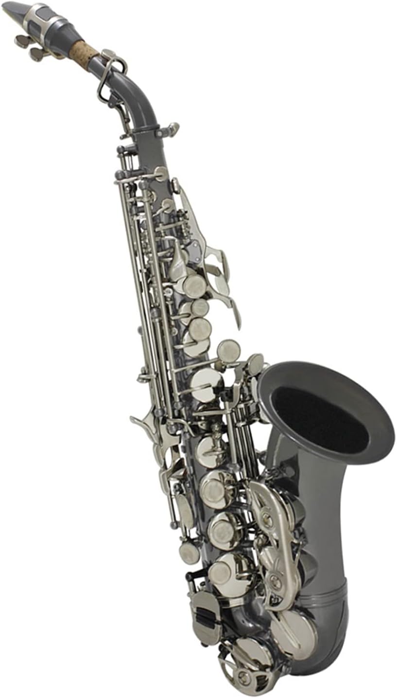 TSTS Bb Saxophone Brass Material Woodwind Instrument with Case Brass Sax Full Kit