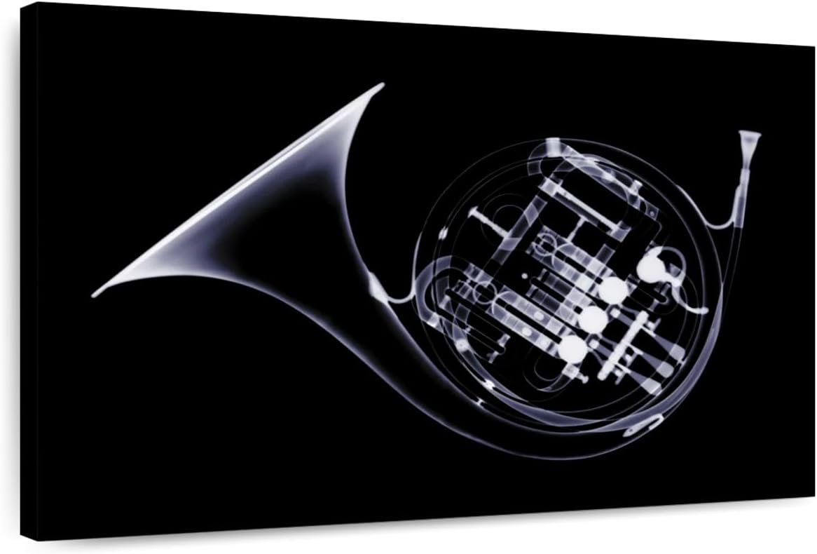 ElephantStock - French Horn X-ray Wall Art - Horizontal Canvas Wall Art - Living Room Wall Decor - Photography Music Canvas Art - Black And Gray Decor - 51