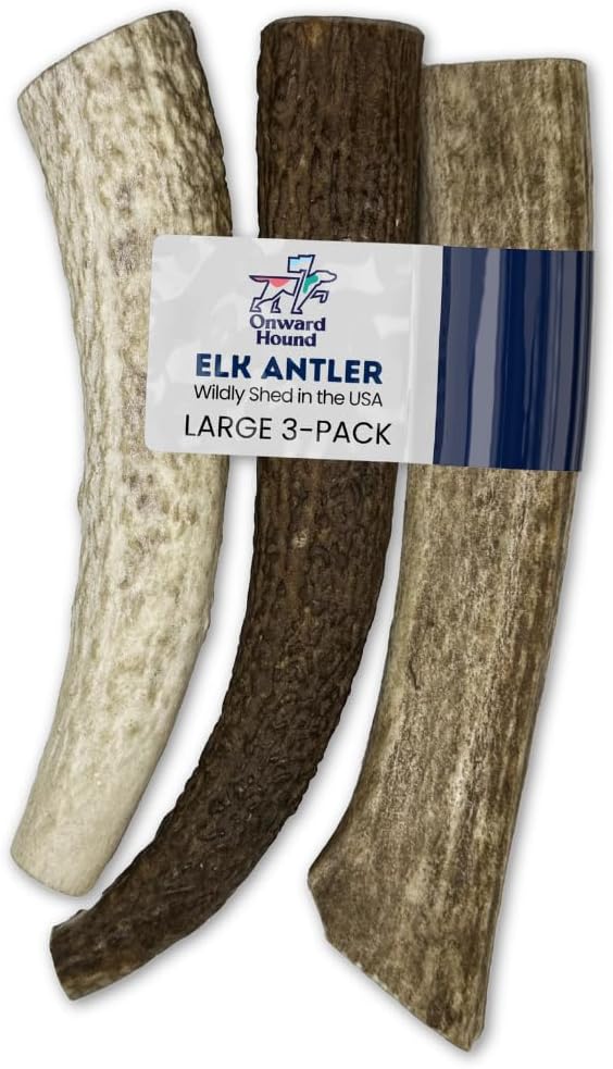 Onward Hound Elk Antlers for Dogs, 7
