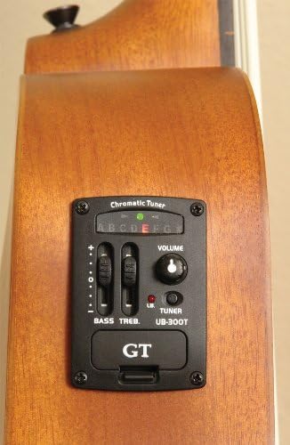 Gold Tone Left Hand Micro Fretless Bass Guitar w/Gig Bag