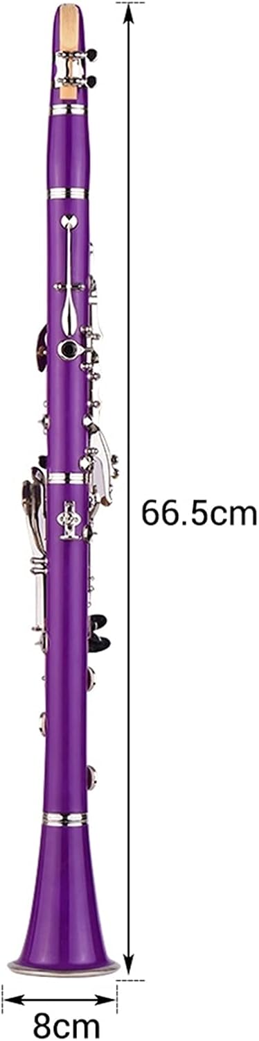 Standard Clarinet ABS 17-Key Clarinet Bb Flat Belt Suitcase Gloves Cleaning Cloth Reed Box 10 Pieces Reed Woodwind Instrument Beginner Clarinet (Color : Purple)