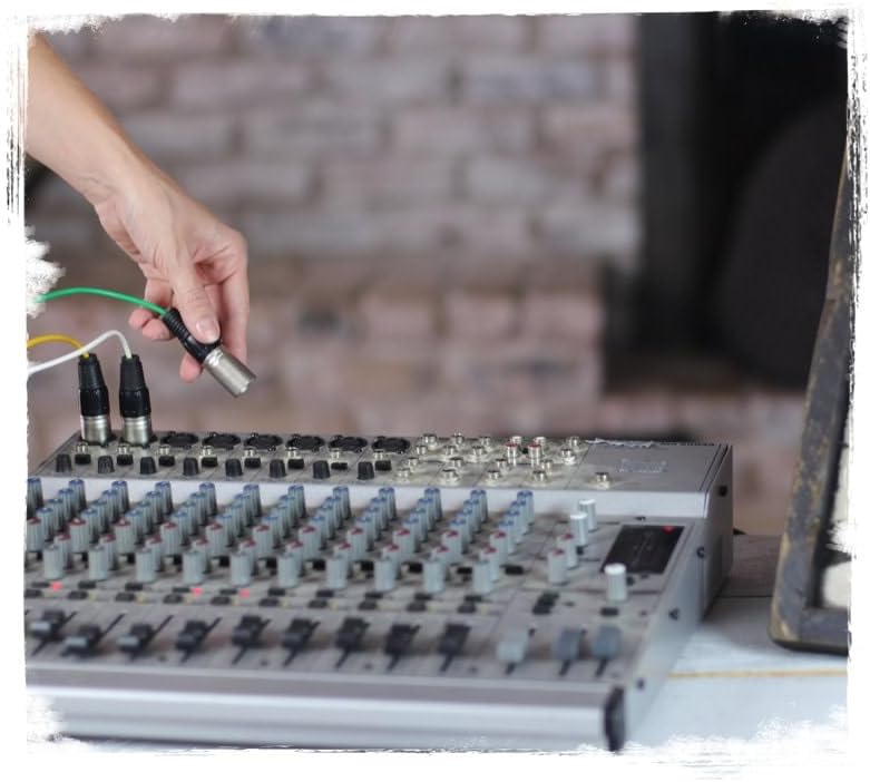 Fat Toad 10ft 16-Channel XLR Snake Cable (ShieldedPRO X Series) – Audio Patch Wire for Studio, Stage, Mic Cord Interface, DJ Mixer, Amp & Live Sound Gear