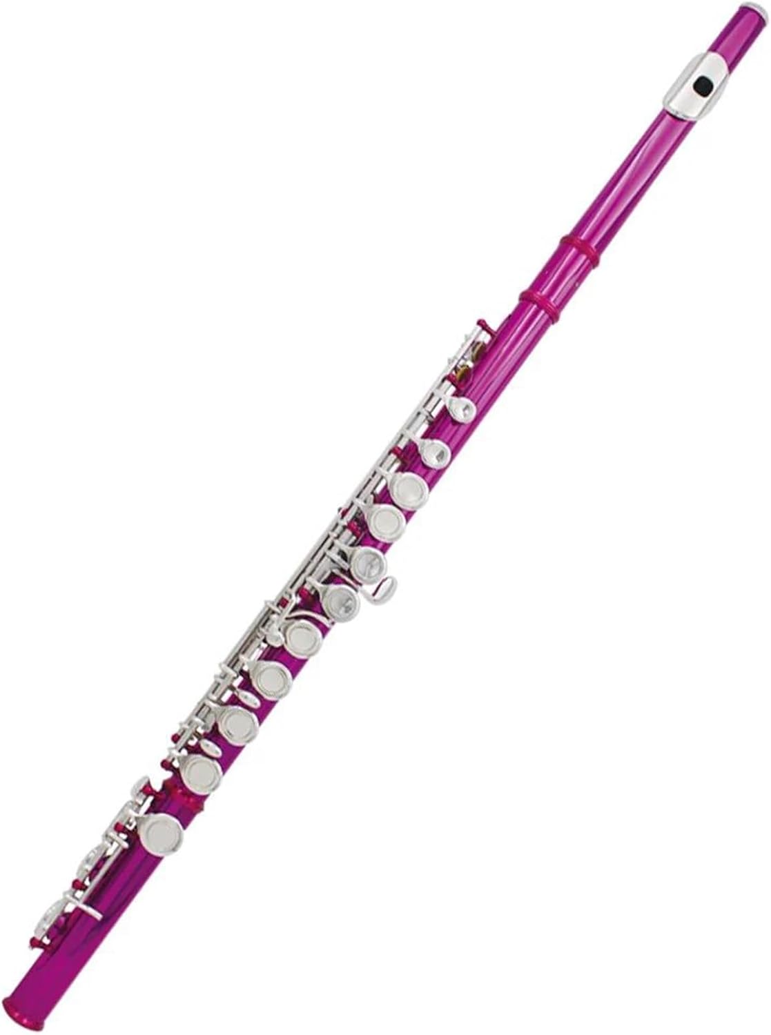 VBDEFRT Horizontal Blow 16 Hole Flute Woodwind Instrument C Brass Flute With Leather Box Musical Instrument Accessories