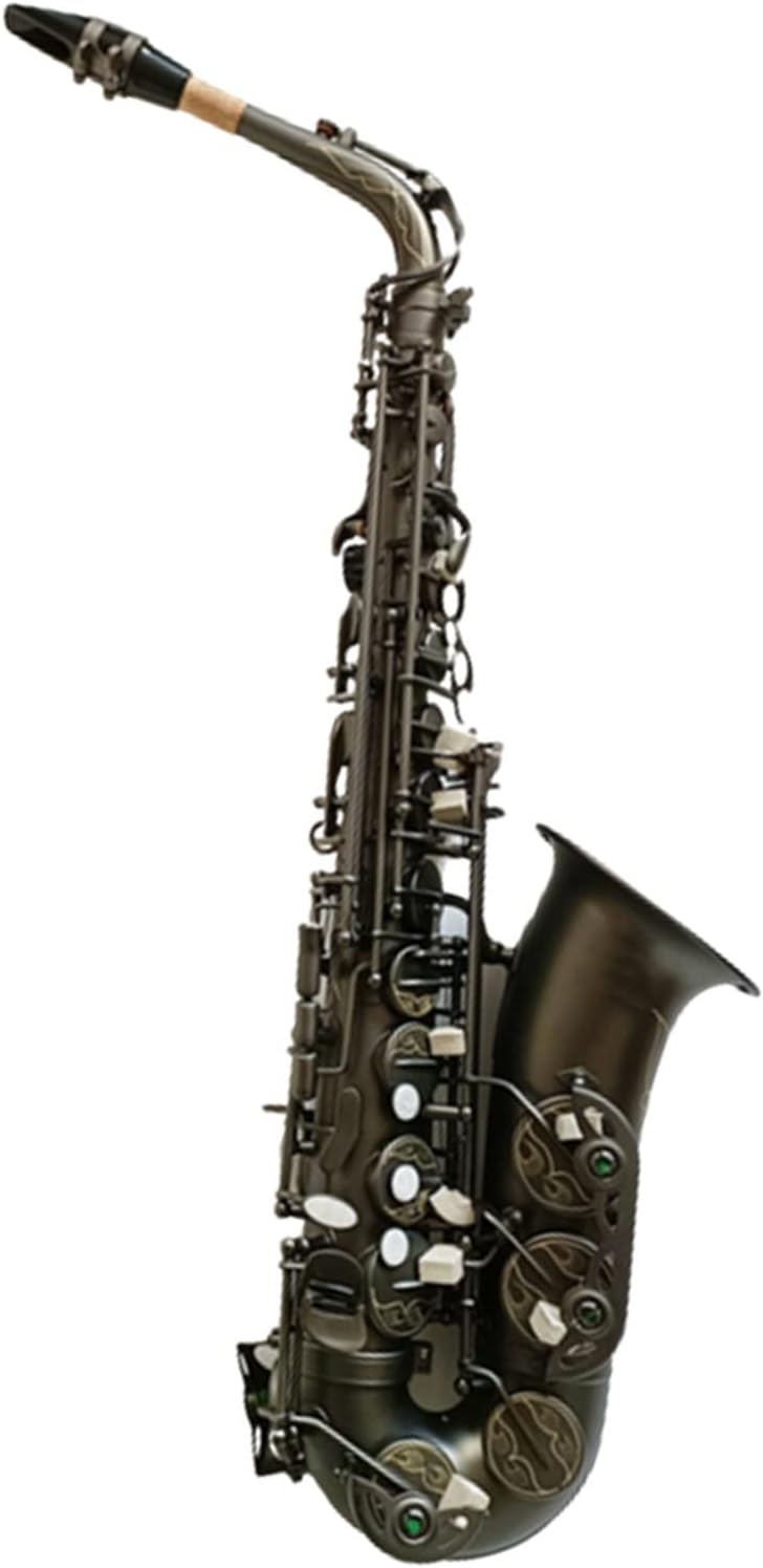 EB Alto Saxophone Matte Woodwind Instrument E Flat Saxophone Instrument with Case
