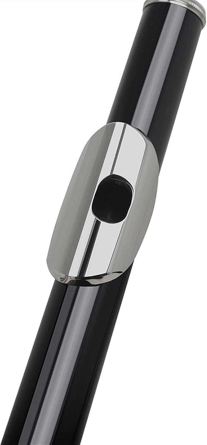 ZUZU Silver Key Cupronickel Flute 16 Holes Closed Hole C Tone Black Flute Woodwind Instrument with Leather Case Cleaning Cloth Beginners Flute