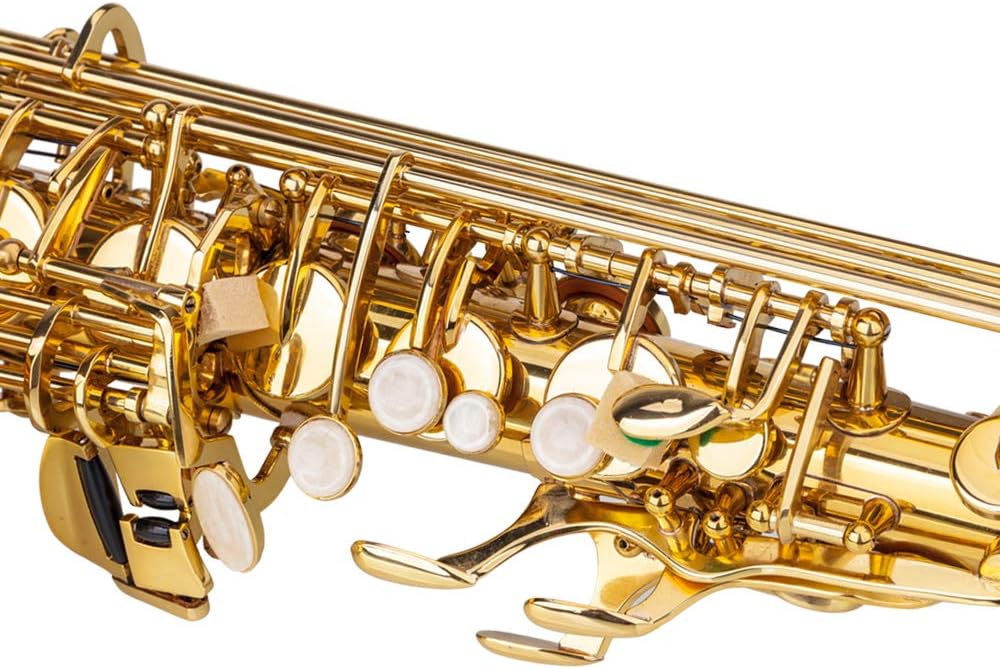 Alto Saxophone E Flat Brass Sax Beginners Kit With Mouthpiece, Neck Strap, Cleaning Cloth Rod, Gloves, Hard Carrying Case With Removable Straps.Gold Lacquer