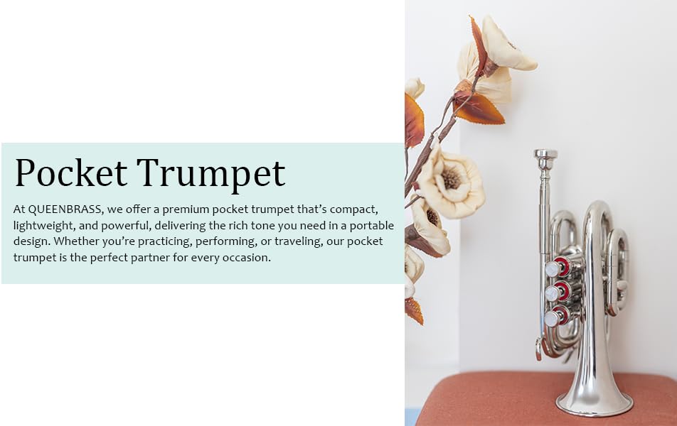 Queen Brass B-Flat Pocket Trumpet Silver Finish Compact Brass Instrument with Mouthpiece Gloves and Carrying Case for Students Beginners and Travel Friendly